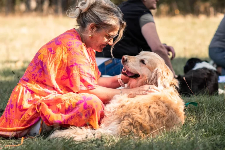 Massage Canin - Édition 2025 - Canifun