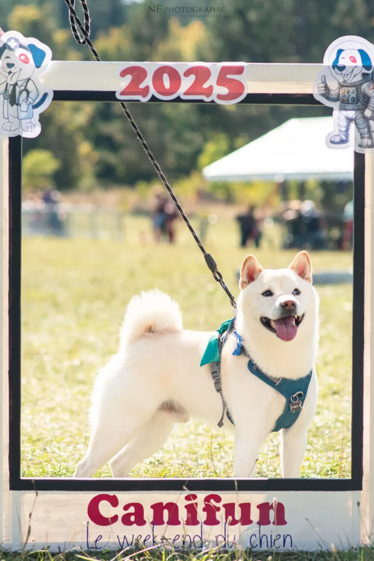 Village - Samedi - Édition 2025 - Canifun