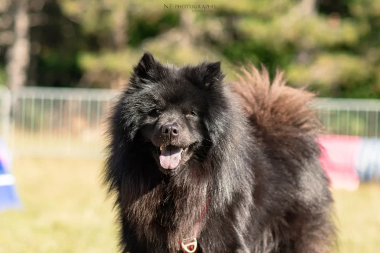 Village - Samedi - Édition 2025 - Canifun