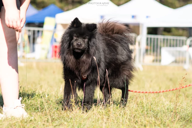 Village - Samedi - Édition 2025 - Canifun