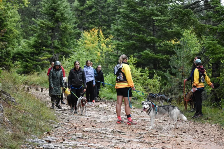 Cani-Parcours - Édition 2025 - Canifun