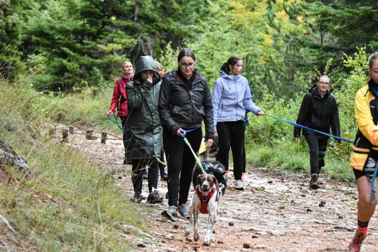 Cani-Parcours - Édition 2025 - Canifun