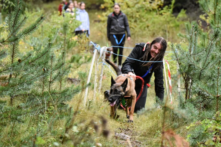 Cani-Parcours - Édition 2025 - Canifun