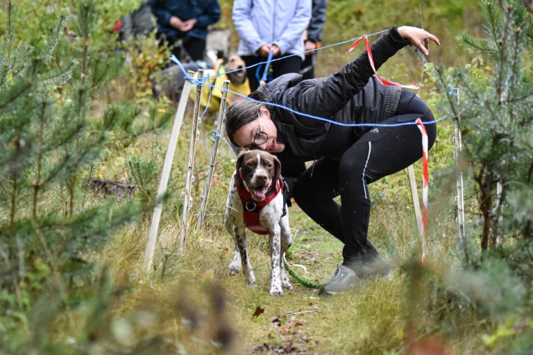 Cani-Parcours - Édition 2025 - Canifun