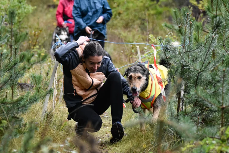Cani-Parcours - Édition 2025 - Canifun