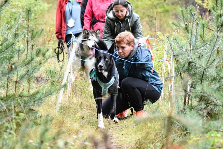 Cani-Parcours - Édition 2025 - Canifun