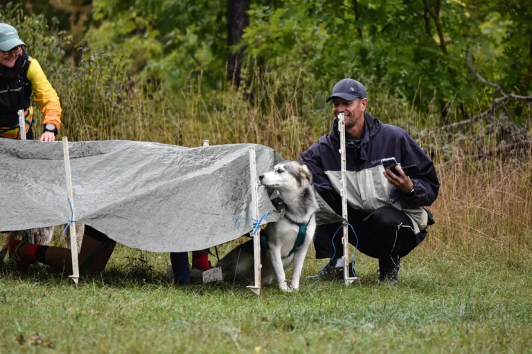 Cani-Parcours - Édition 2025 - Canifun
