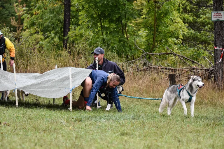 Cani-Parcours - Édition 2025 - Canifun