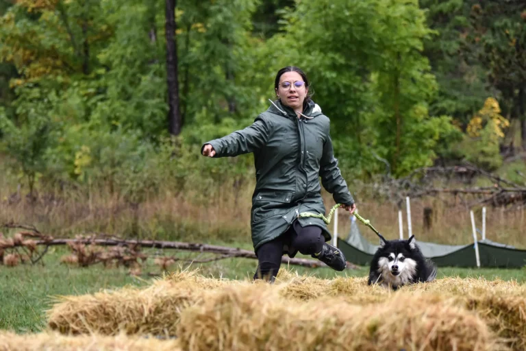 Cani-Parcours - Édition 2025 - Canifun
