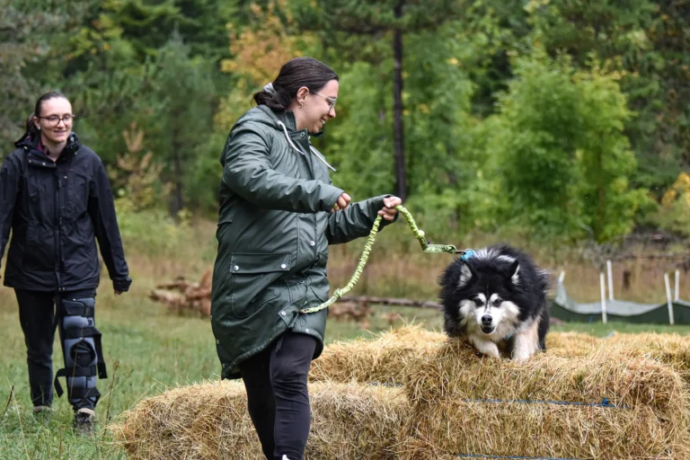 Cani-Parcours - Édition 2025 - Canifun