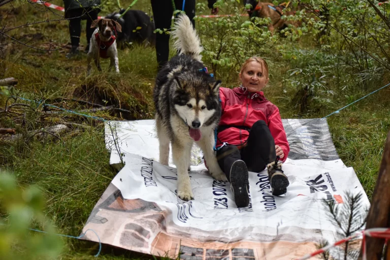Cani-Parcours - Édition 2025 - Canifun