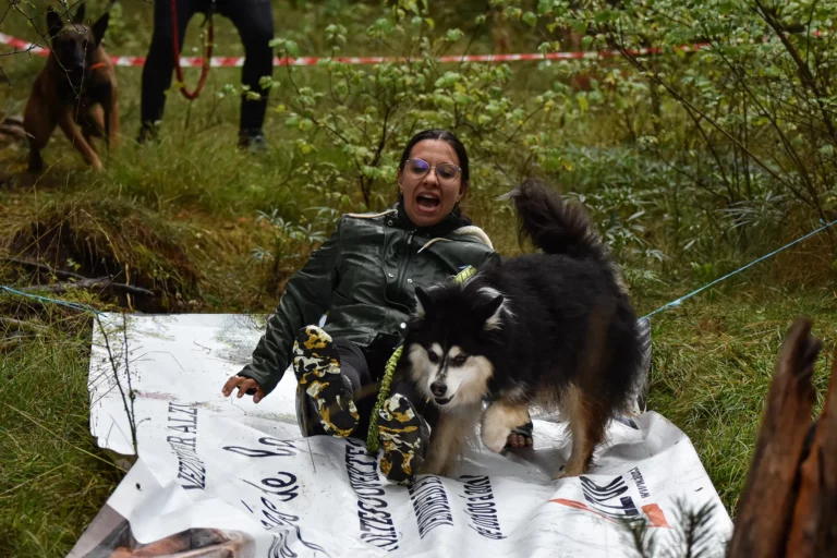 Cani-Parcours - Édition 2025 - Canifun