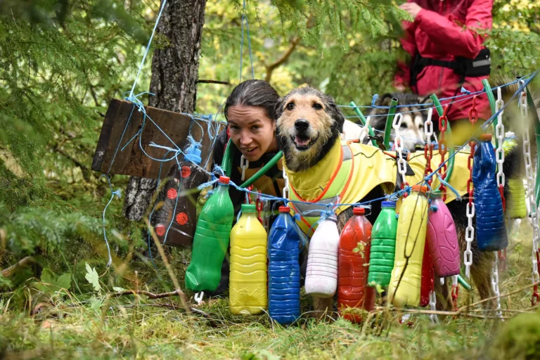 Cani-Parcours - Édition 2025 - Canifun
