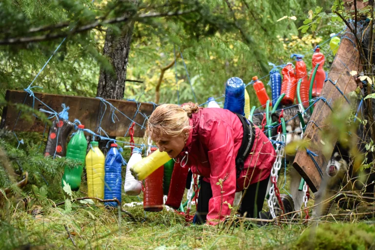 Cani-Parcours - Édition 2025 - Canifun