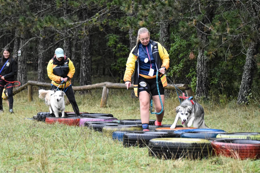Cani-Parcours - Édition 2025 - Canifun