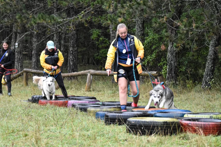 Cani-Parcours - Édition 2025 - Canifun
