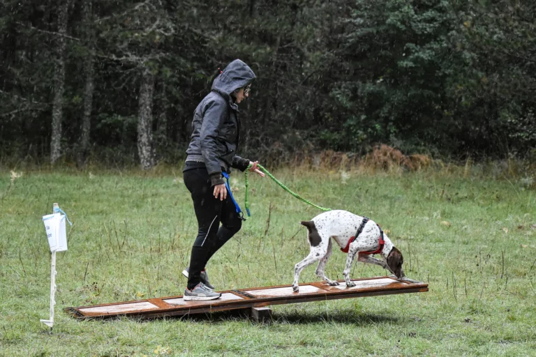 Cani-Parcours - Édition 2025 - Canifun
