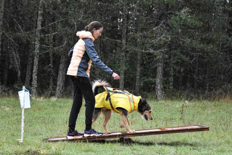 Cani-Parcours - Édition 2025 - Canifun