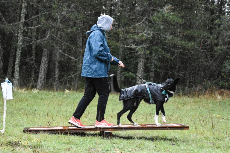 Cani-Parcours - Édition 2025 - Canifun