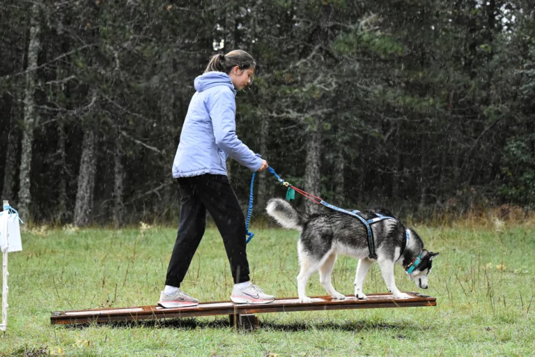 Cani-Parcours - Édition 2025 - Canifun