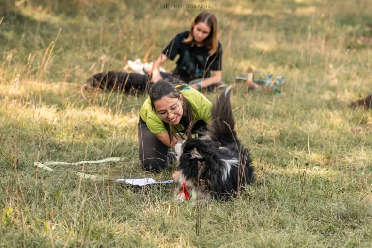 Massage Canin - Édition 2025 - Canifun