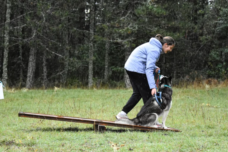 Cani-Parcours - Édition 2025 - Canifun