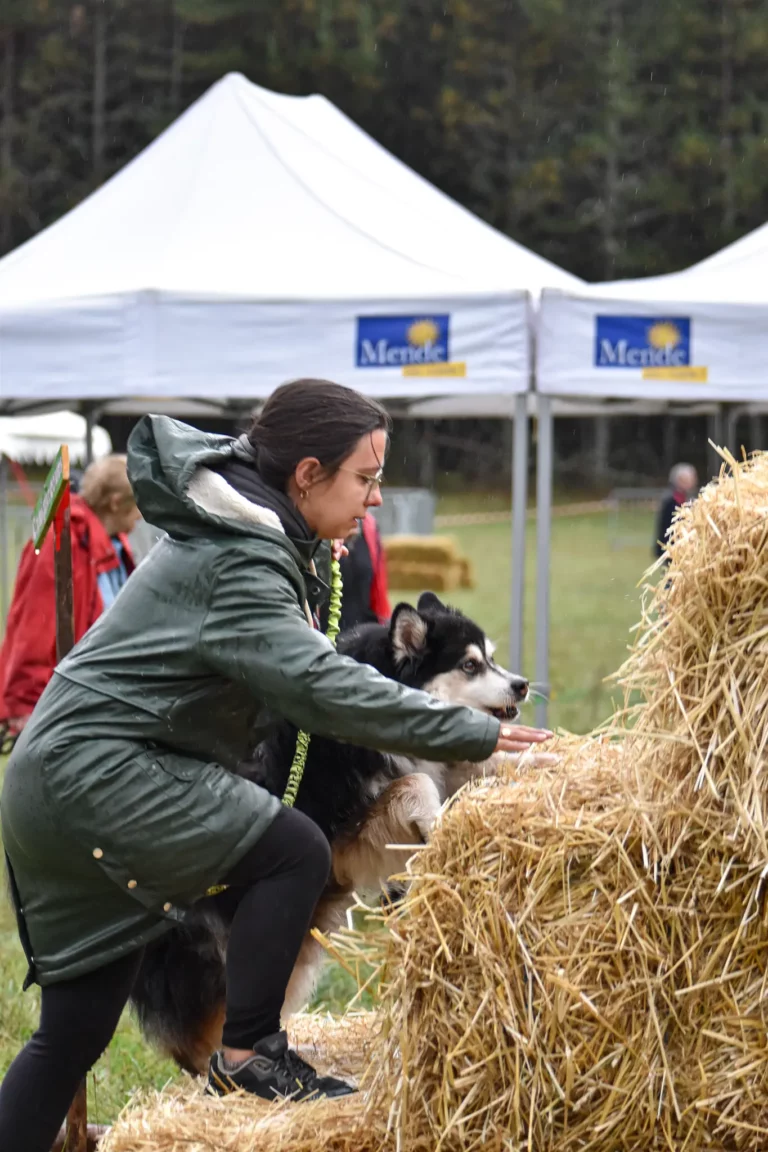 Cani-Parcours - Édition 2025 - Canifun