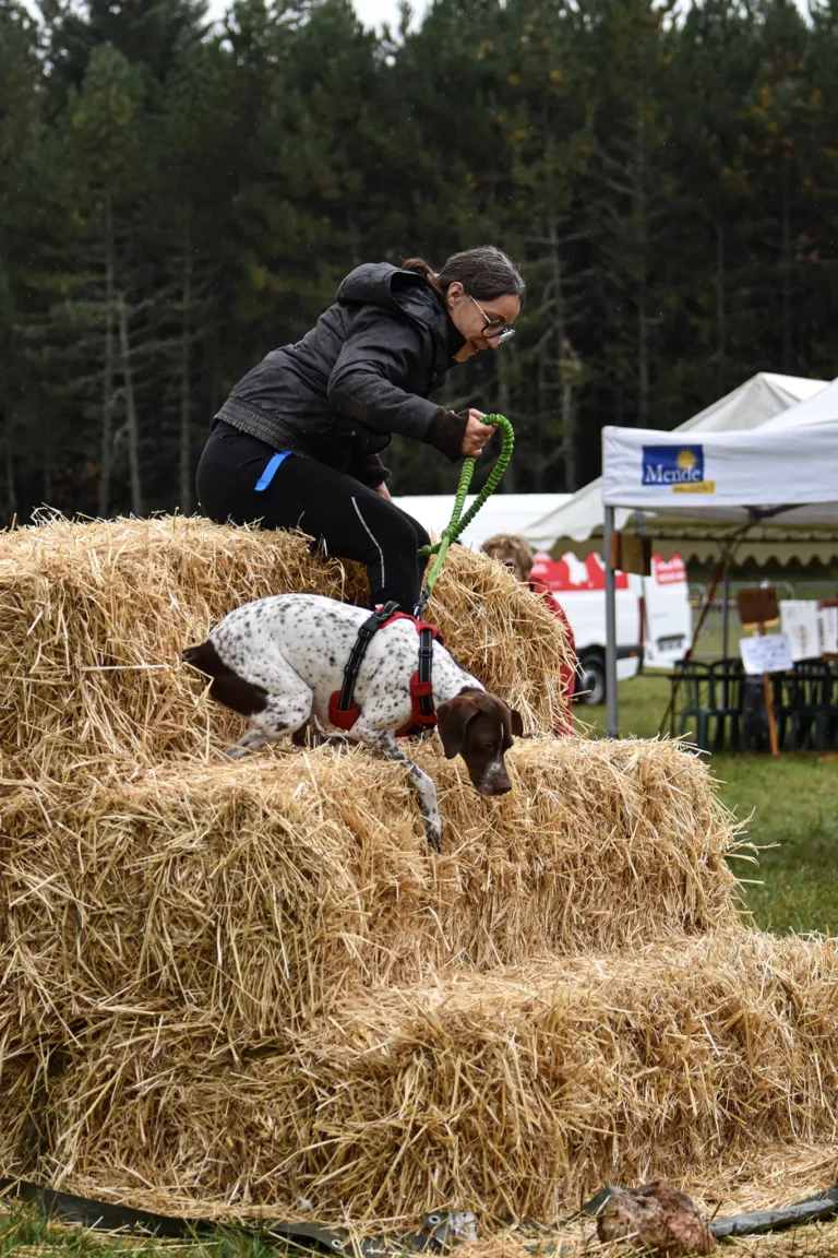 Cani-Parcours - Édition 2025 - Canifun