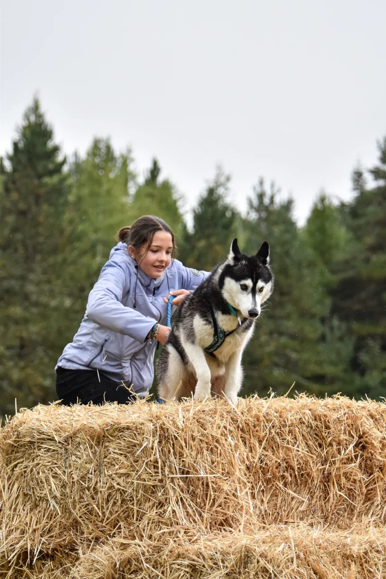 Cani-Parcours - Édition 2025 - Canifun
