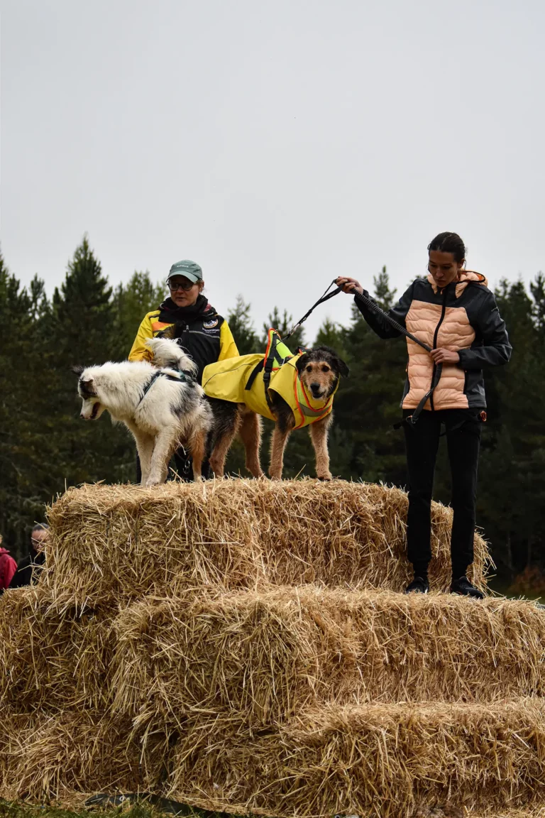 Cani-Parcours - Édition 2025 - Canifun