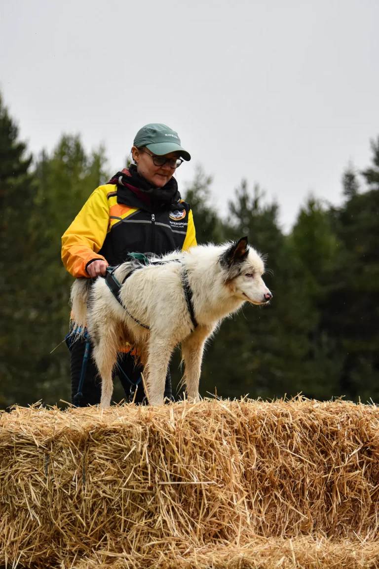 Cani-Parcours - Édition 2025 - Canifun