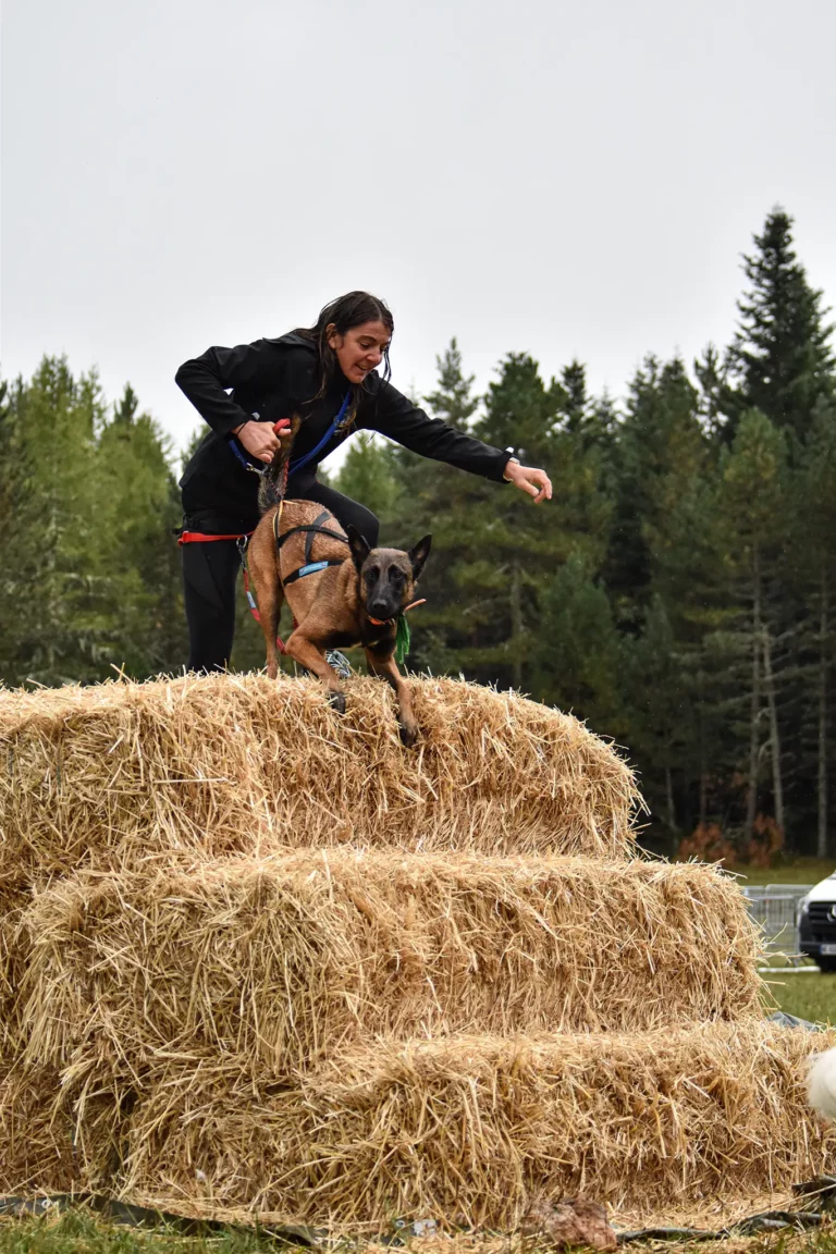 Cani-Parcours - Édition 2025 - Canifun