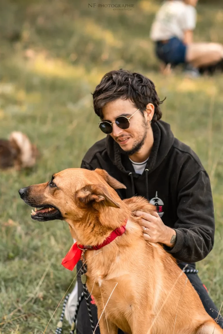 Massage Canin - Édition 2025 - Canifun