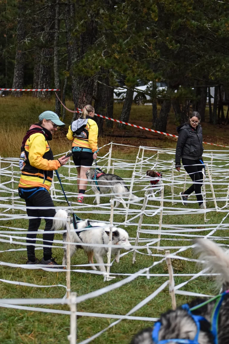 Cani-Parcours - Édition 2025 - Canifun
