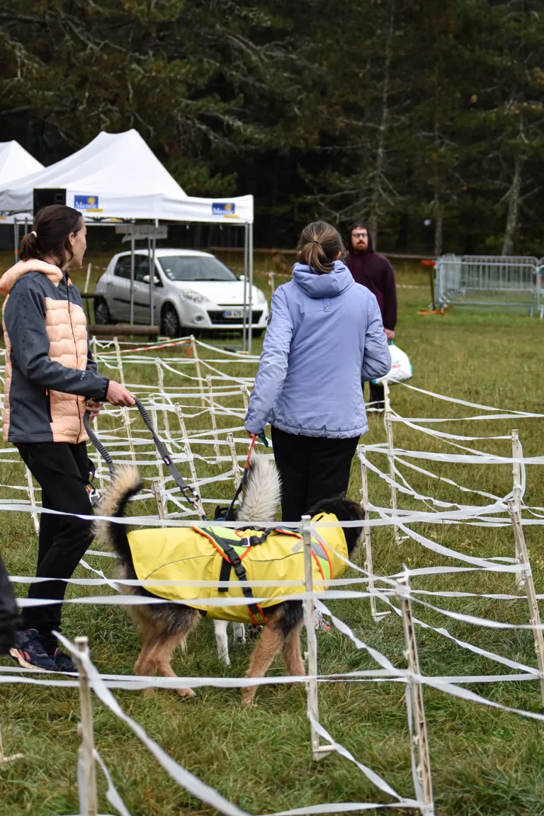 Cani-Parcours - Édition 2025 - Canifun