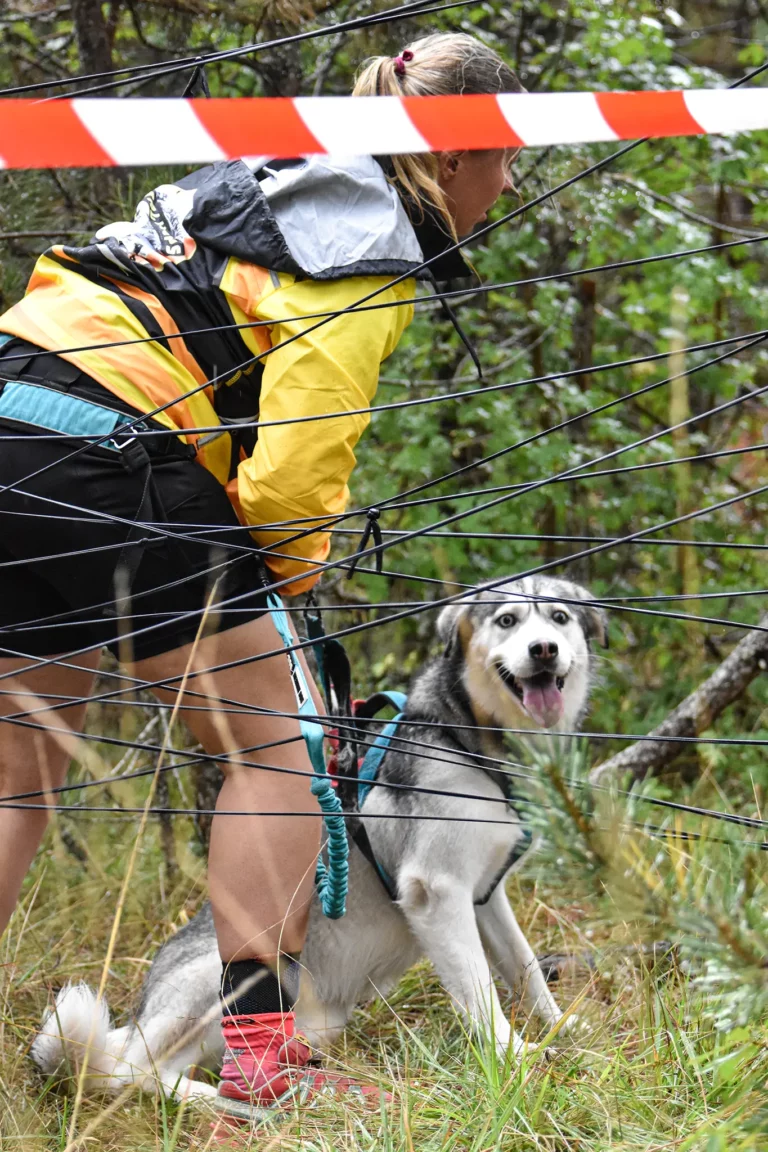 Cani-Parcours - Édition 2025 - Canifun