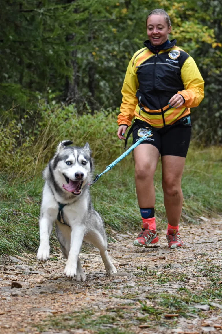 Cani-Parcours - Édition 2025 - Canifun
