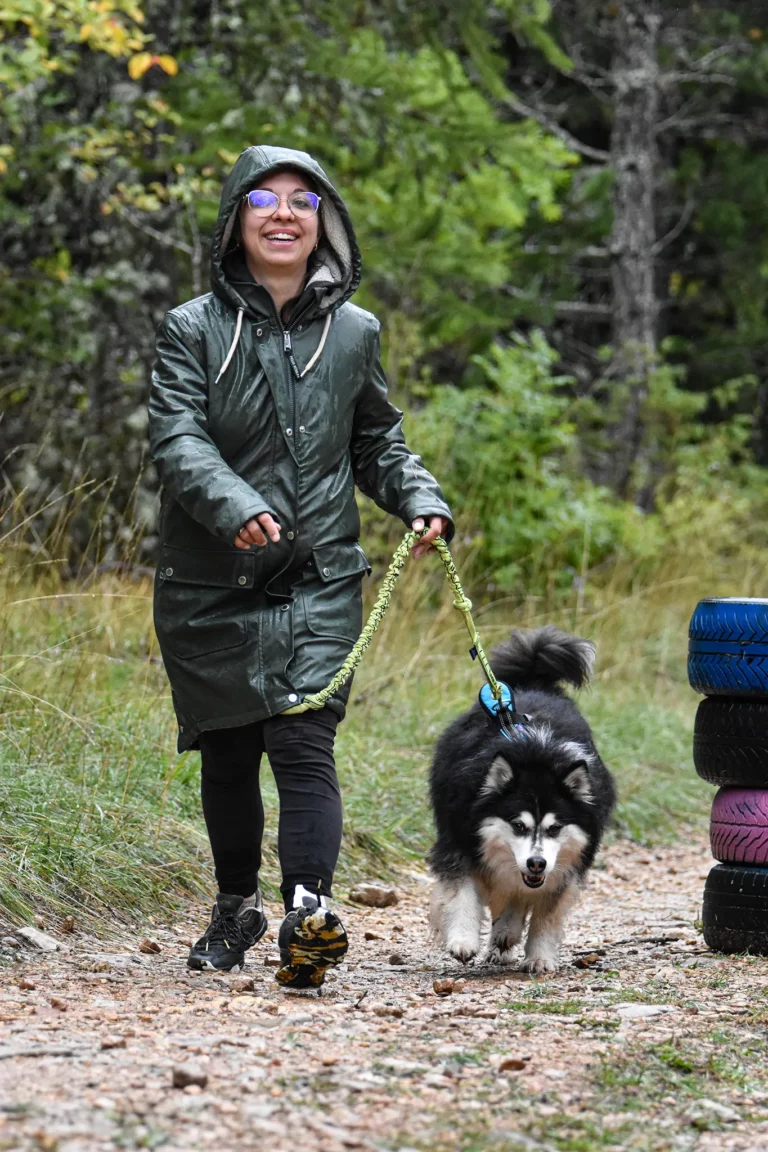 Cani-Parcours - Édition 2025 - Canifun