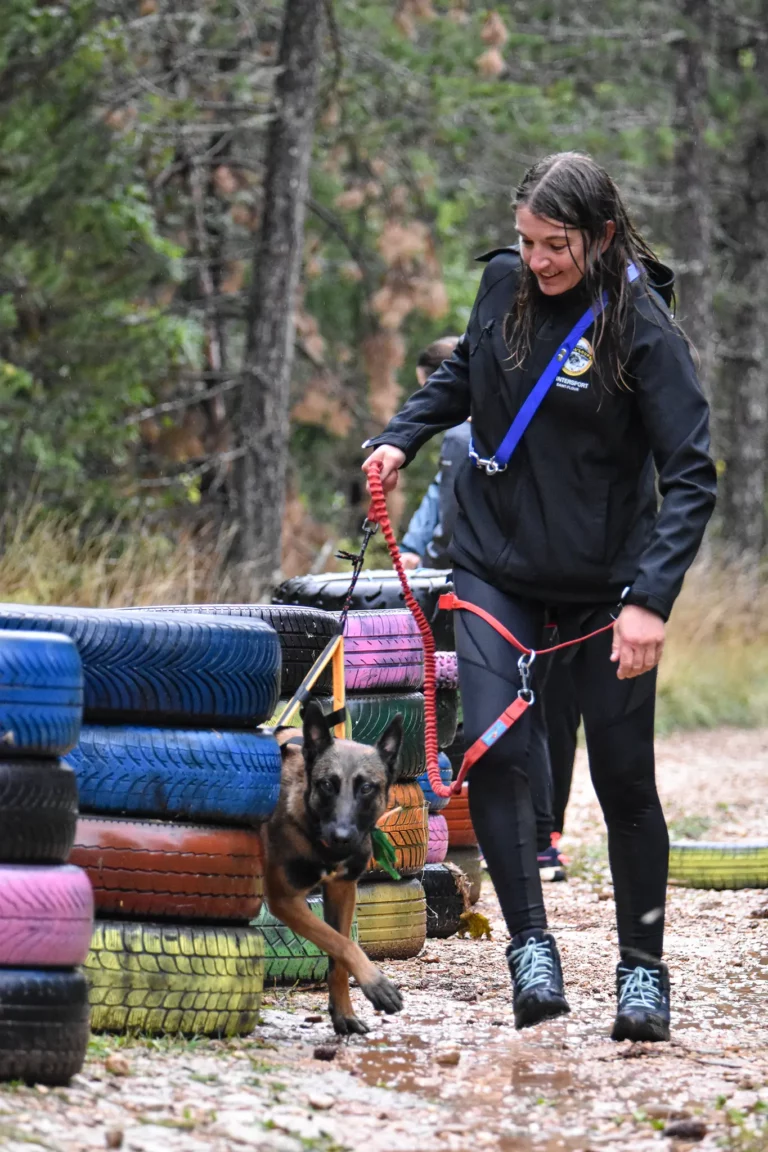 Cani-Parcours - Édition 2025 - Canifun