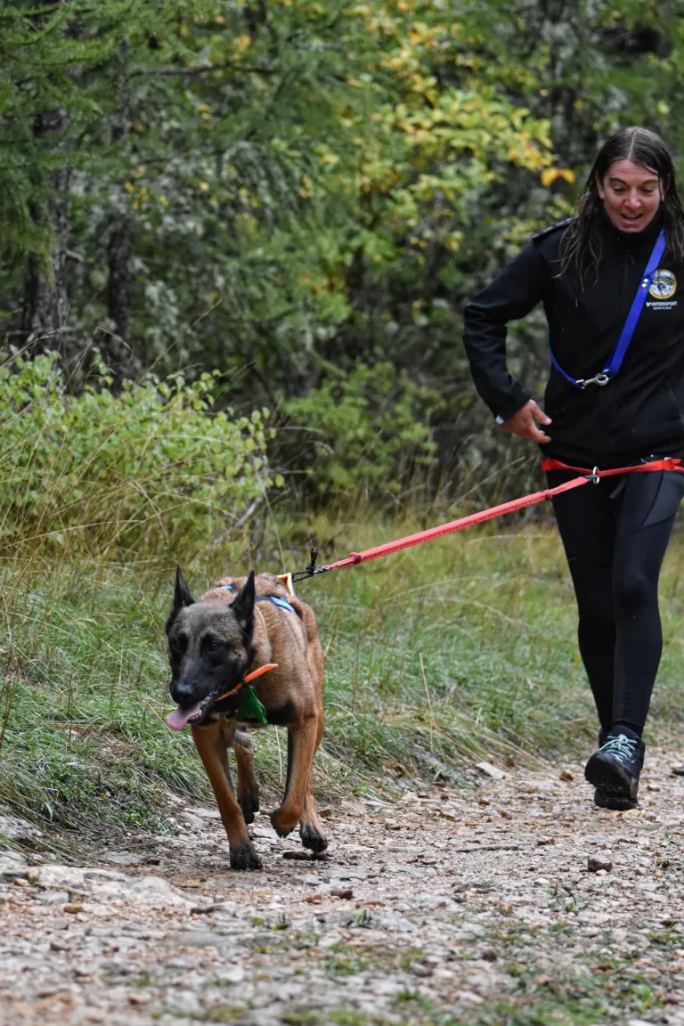 Cani-Parcours - Édition 2025 - Canifun