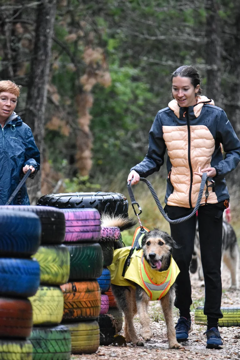 Cani-Parcours - Édition 2025 - Canifun