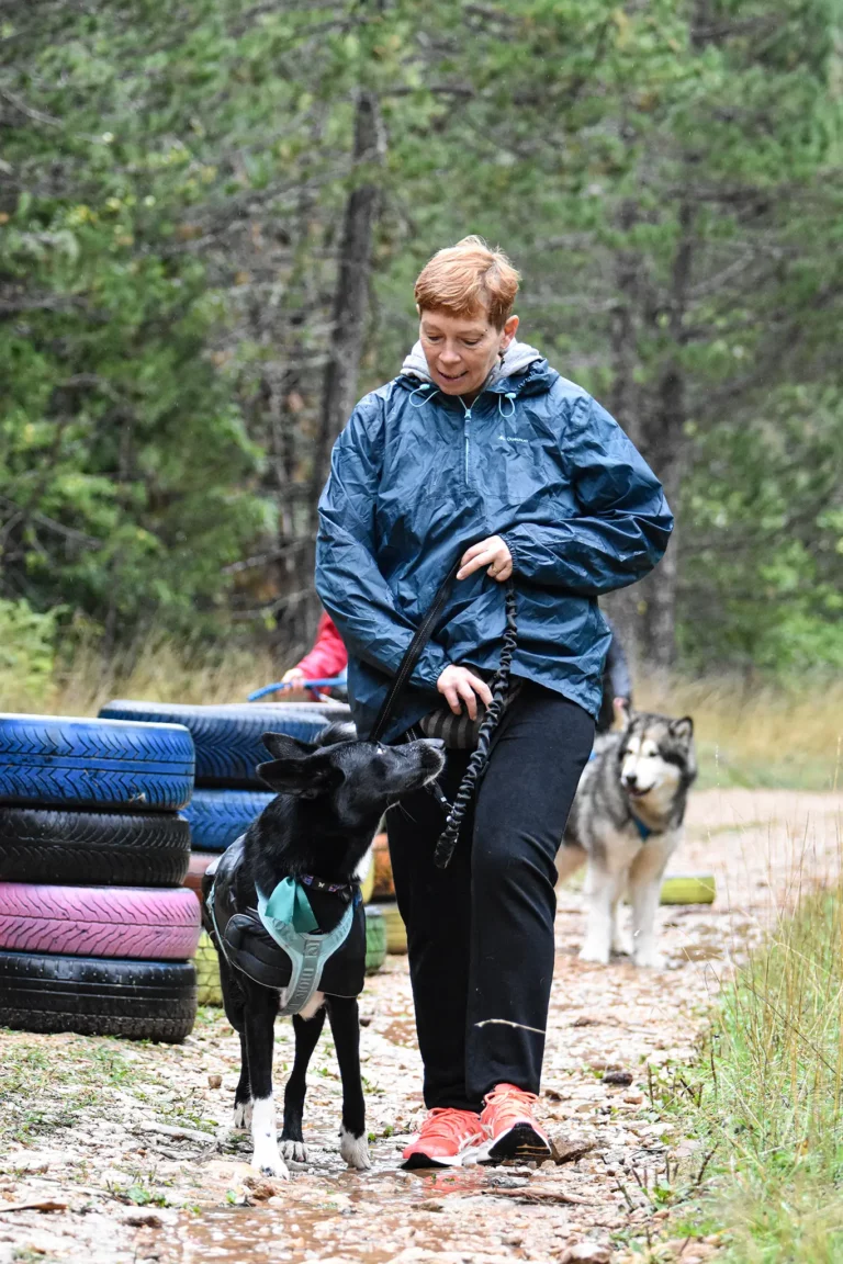 Cani-Parcours - Édition 2025 - Canifun