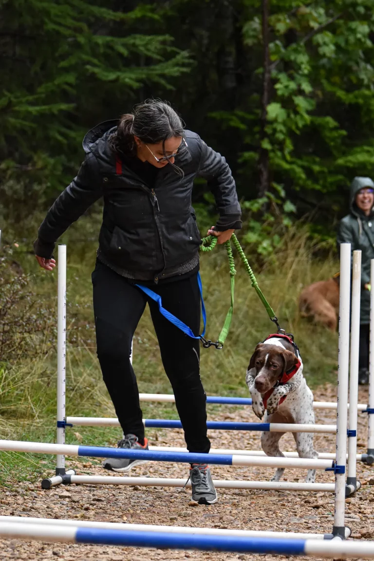 Cani-Parcours - Édition 2025 - Canifun