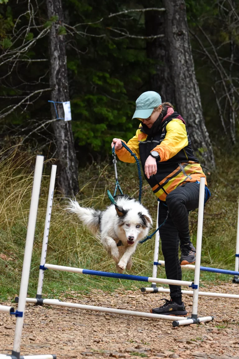 Cani-Parcours - Édition 2025 - Canifun