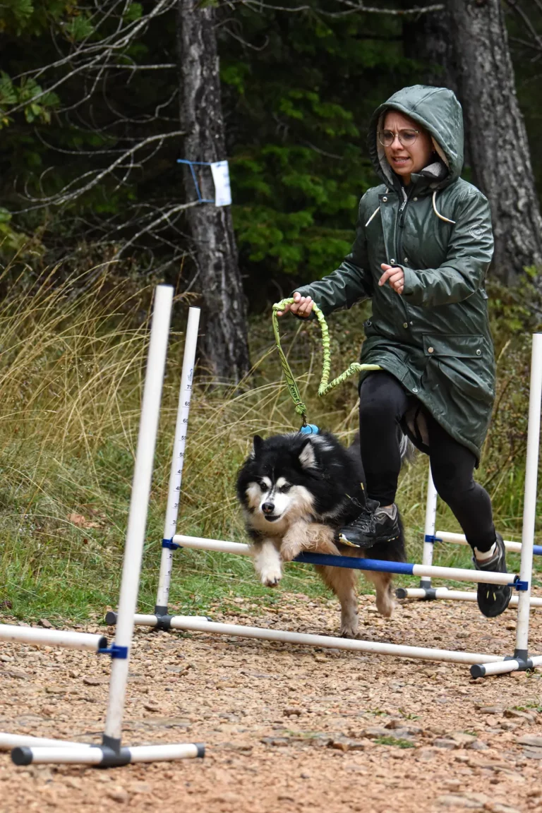 Cani-Parcours - Édition 2025 - Canifun