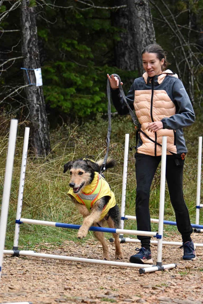 Cani-Parcours - Édition 2025 - Canifun