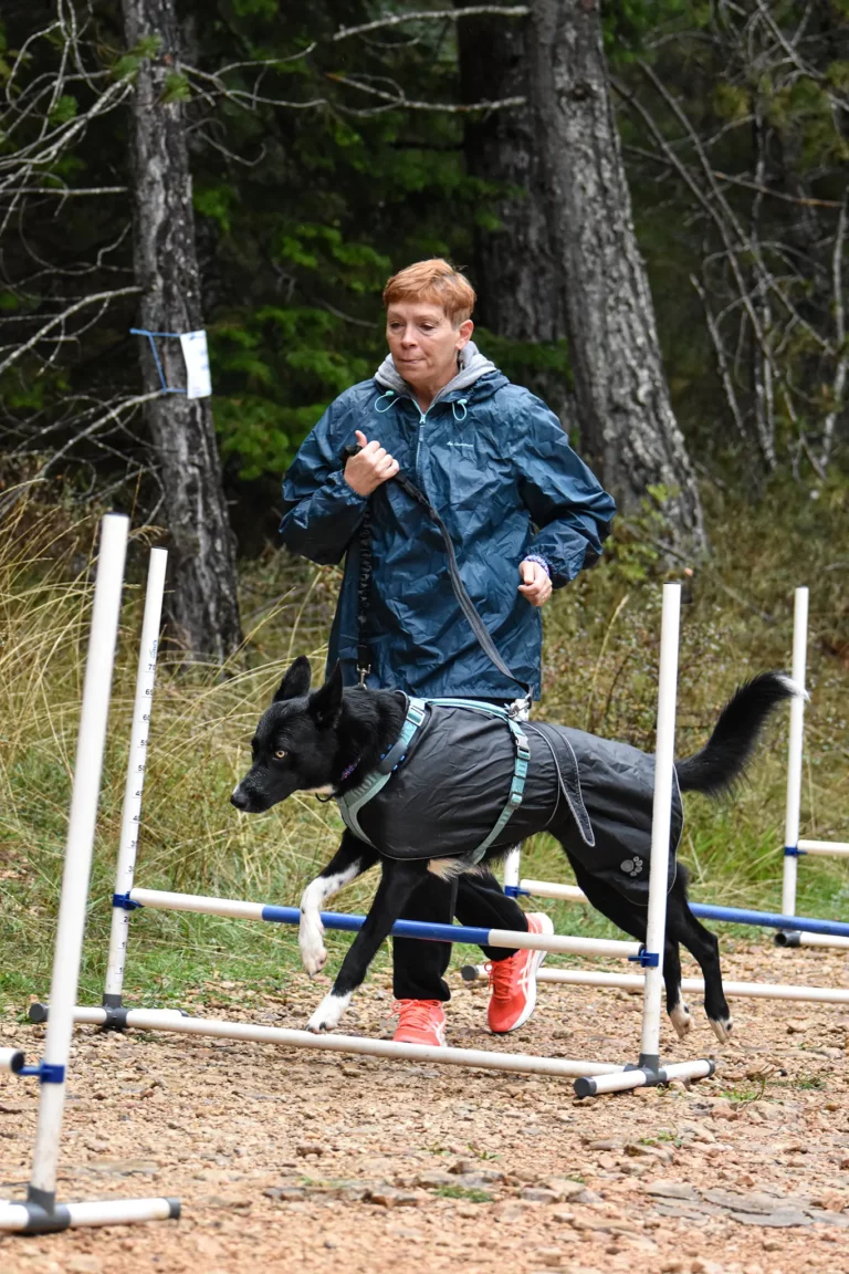 Cani-Parcours - Édition 2025 - Canifun