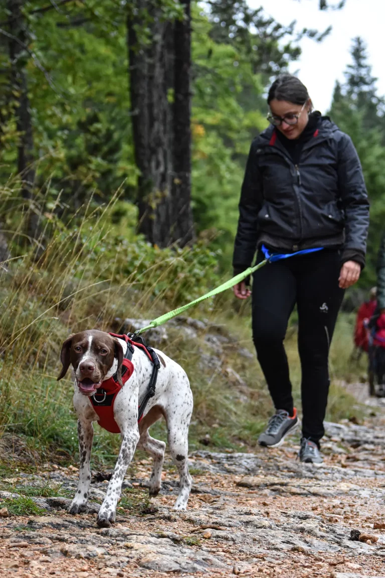 Cani-Parcours - Édition 2025 - Canifun