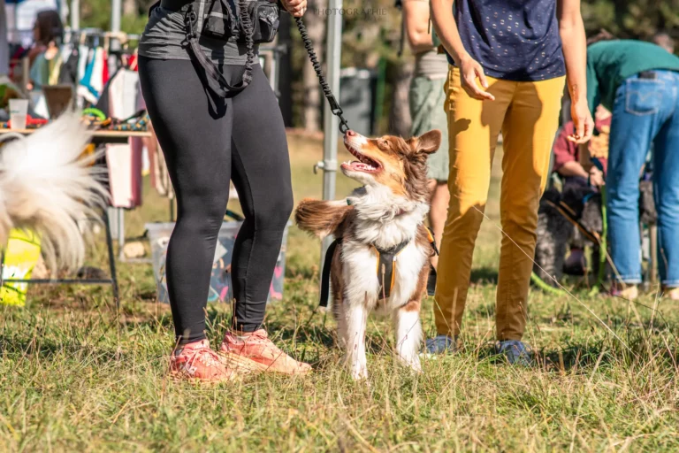 Cani-Cross - Édition 2025 - Canifun