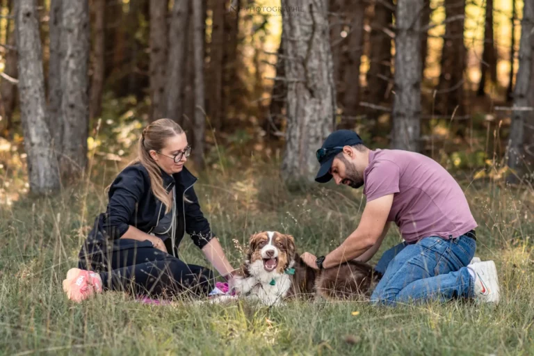 Massage Canin - Édition 2025 - Canifun